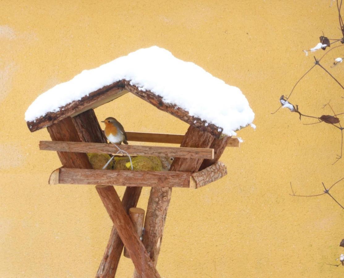 Le Chant Des Oiseaux - Au Pied De La Voie Cyclable Crevechamps Εξωτερικό φωτογραφία